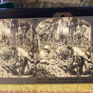 The Farm Husking Corn by Hand Stereoview Keystone View Co. 1930s USA